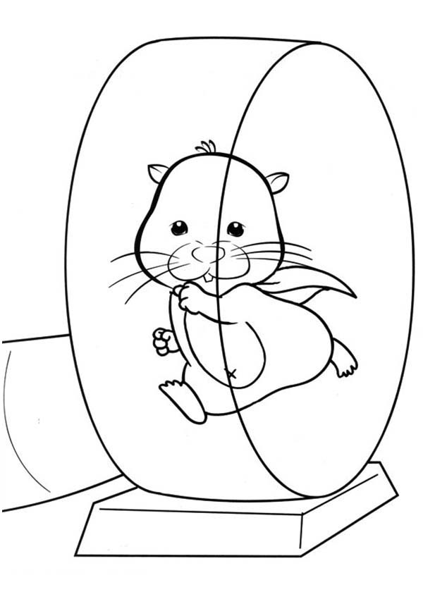 Pet-Hamster-Running-on-Exercise-Wheel-Coloring-Page