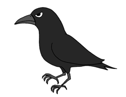 crow-1-1