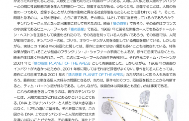 人類進化大全