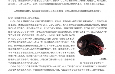 深海生物ファイル あなたの知らない暗黒世界の住人たち
