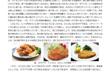 火の賜物 ヒトは料理で進化した