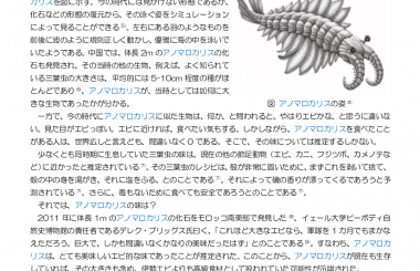 アノマロカリス