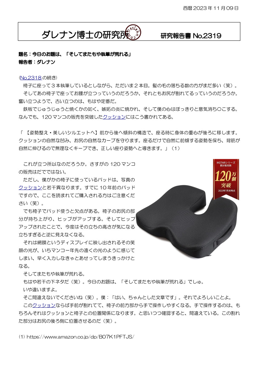 IKSTAR クッション dasRepNo2319