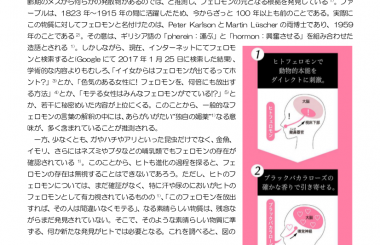 Newton フェロモン