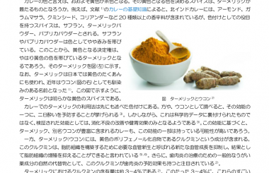 カレーの基礎知識