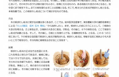 大人の園芸 庭木 花木 果樹