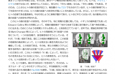 ひとの目、驚異の進化: 4つの凄い視覚能力があるわけ