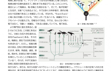 そして恐竜は鳥になった: 最新研究で迫る進化の謎