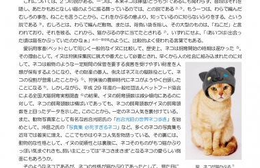 岩合光昭の世界ネコ歩き
